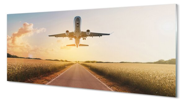 Panouri de sticlă Avionul City West