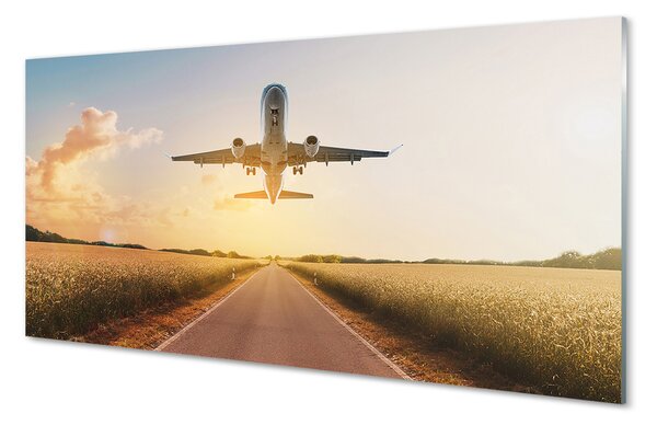 Panouri de sticlă Avionul City West
