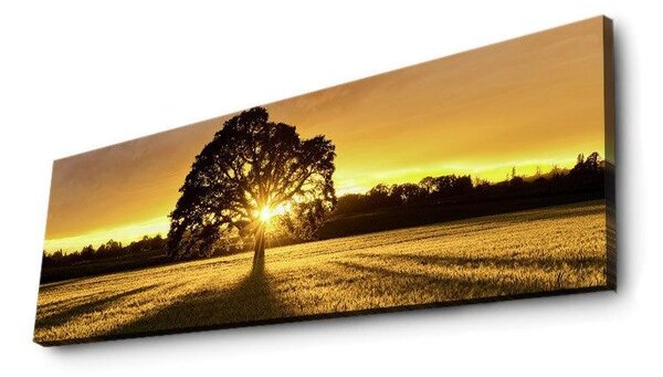 Tablou Canvas cu Led Rasaritul Soarelui fara Priza, Galben, 90x30 cm