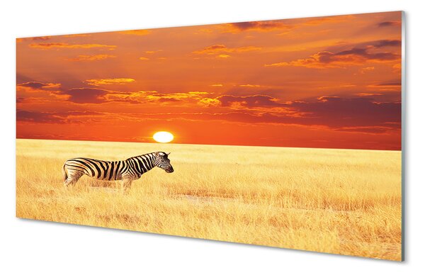 Tablouri pe sticlă Zebra câmp apus de soare
