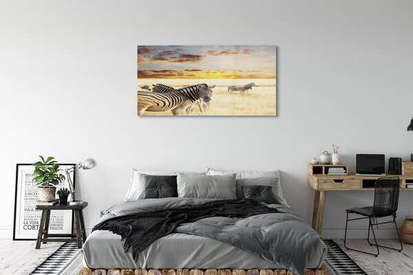 Tablouri pe sticlă Zebre câmp apus de soare