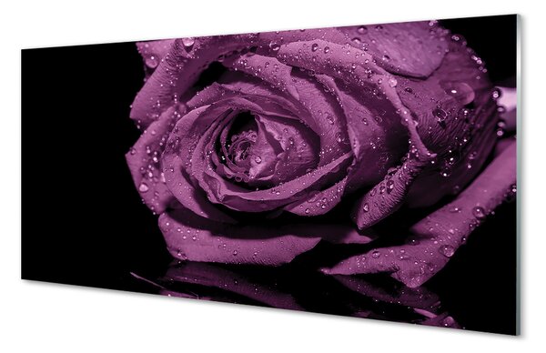 Tablouri pe sticlă trandafir violet