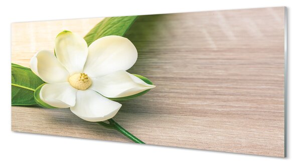 Panouri de sticlă magnolie alb