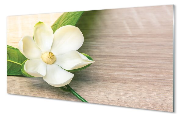 Panouri de sticlă magnolie alb