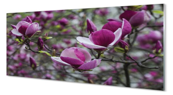 Tablouri pe sticlă magnolie violet
