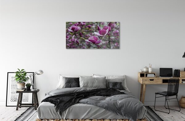 Tablouri pe sticlă magnolie violet