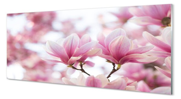 Panouri de sticlă copac magnolie