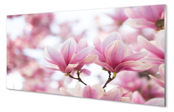 Panouri de sticlă copac magnolie