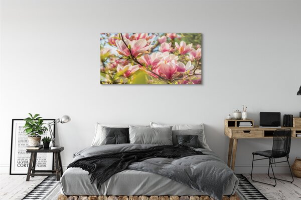 Tablouri pe sticlă magnolie roz