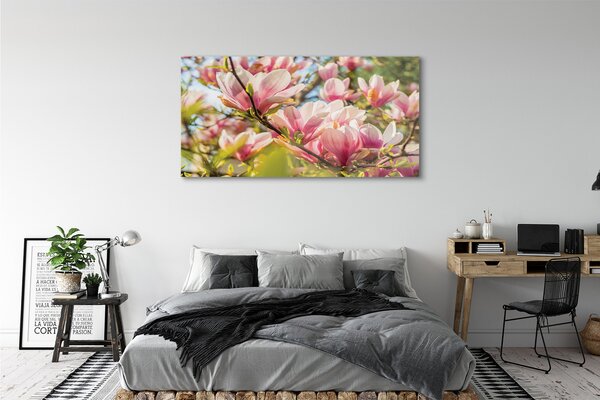 Tablouri pe sticlă magnolie roz
