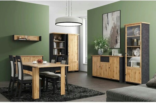 Dulap NICOLE, stejar wotan/gri antracit, PAL laminat, cu 2 usi, 71x42x