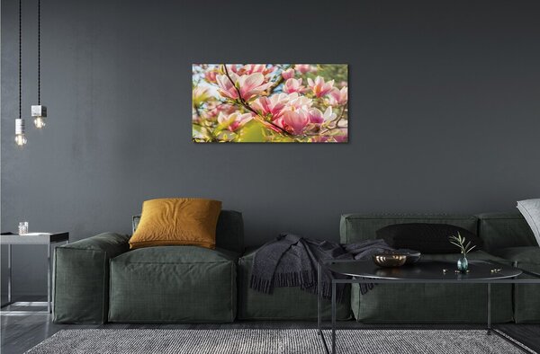 Tablouri pe sticlă magnolie roz