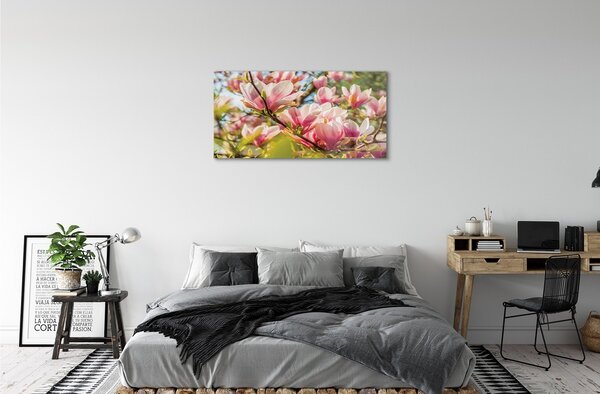 Tablouri pe sticlă magnolie roz