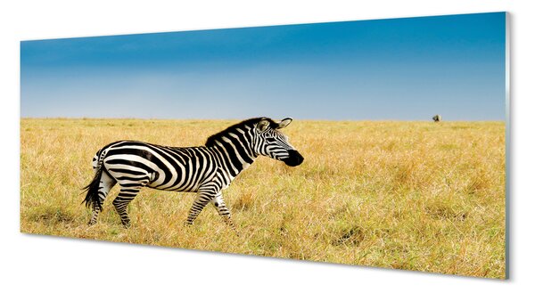 Tablouri pe sticlă caseta Zebra