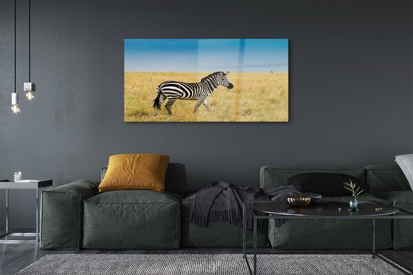 Tablouri pe sticlă caseta Zebra