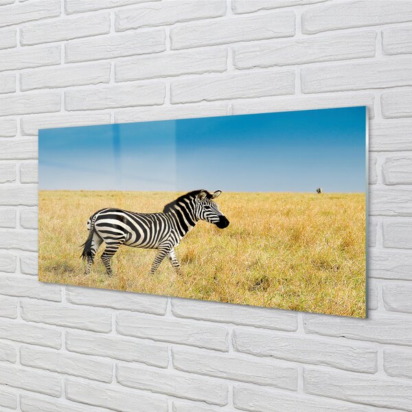 Tablouri pe sticlă caseta Zebra