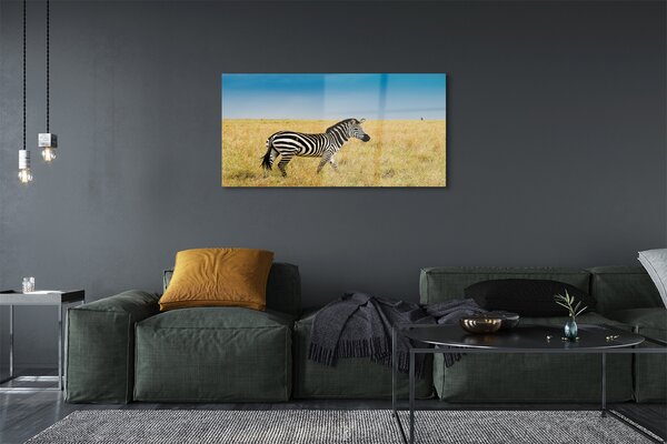 Tablouri pe sticlă caseta Zebra