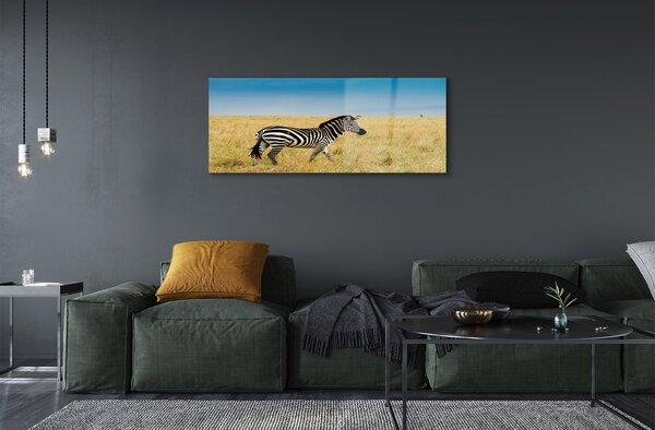 Tablouri pe sticlă caseta Zebra