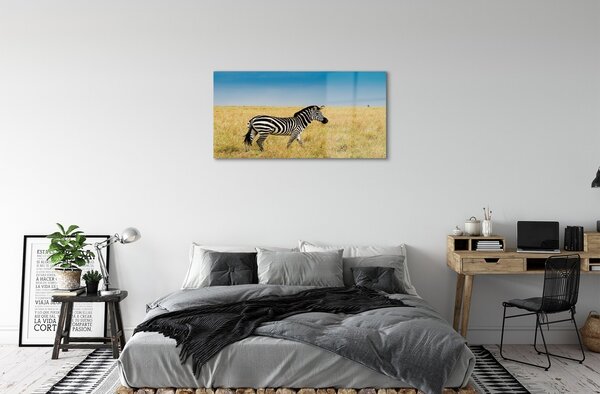 Tablouri pe sticlă caseta Zebra