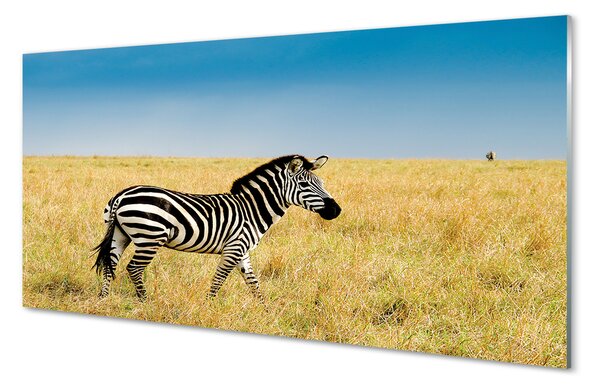 Tablouri pe sticlă caseta Zebra