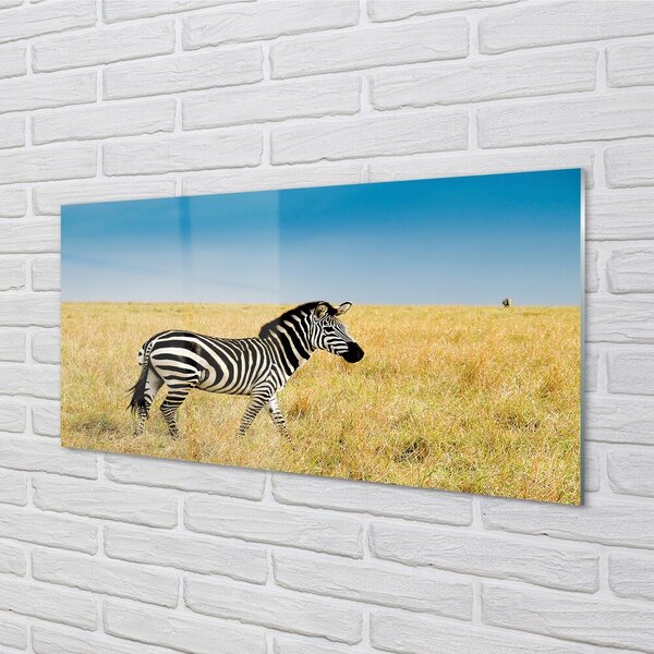 Tablouri pe sticlă caseta Zebra
