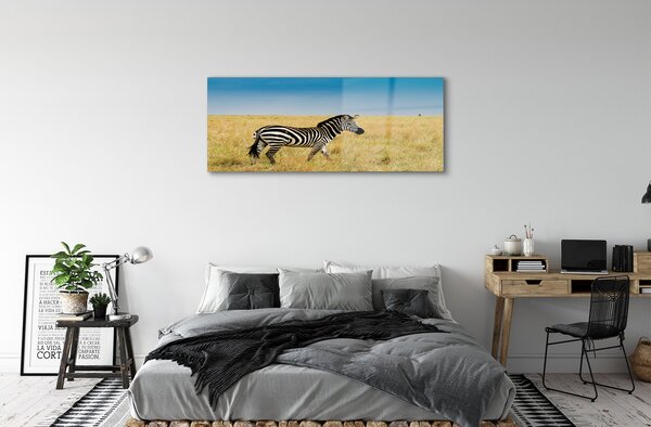 Tablouri pe sticlă caseta Zebra