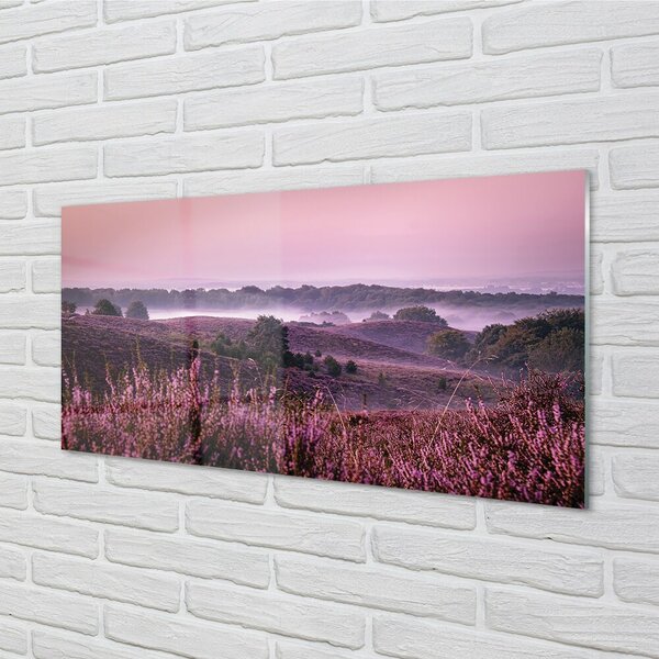 Tablouri pe sticlă Heathers câmp