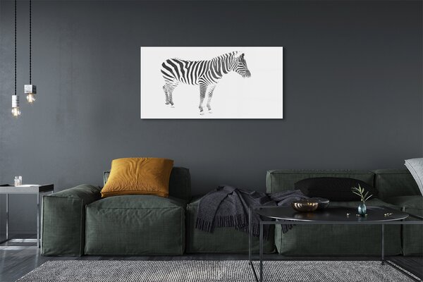 Tablouri pe sticlă zebră pictat