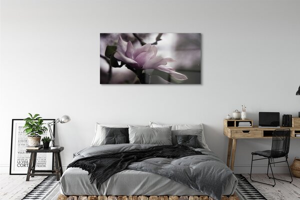 Tablouri pe sticlă Magnolie