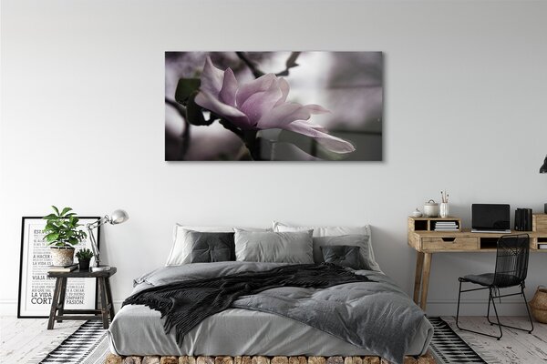Tablouri pe sticlă Magnolie