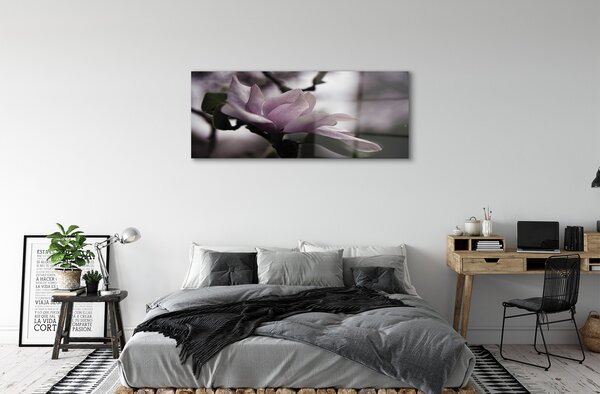 Tablouri pe sticlă Magnolie