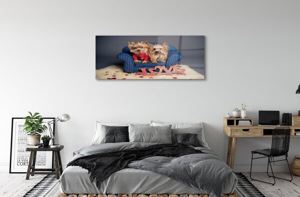 Tablouri pe sticlă Yorkie