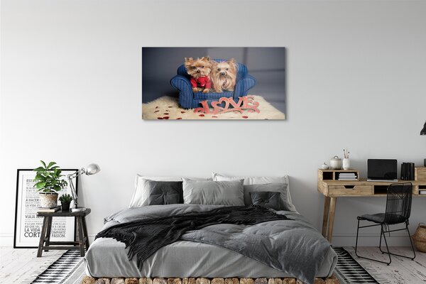 Tablouri pe sticlă Yorkie
