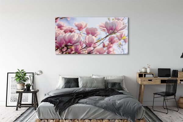 Tablouri pe sticlă Magnolie
