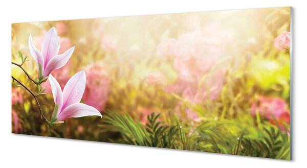 Panouri de sticlă Magnolia copac soare