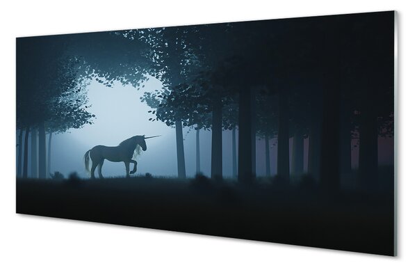 Panouri de sticlă Las noapte unicorn