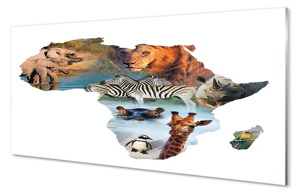Tablouri pe sticlă Zebra girafa tigru