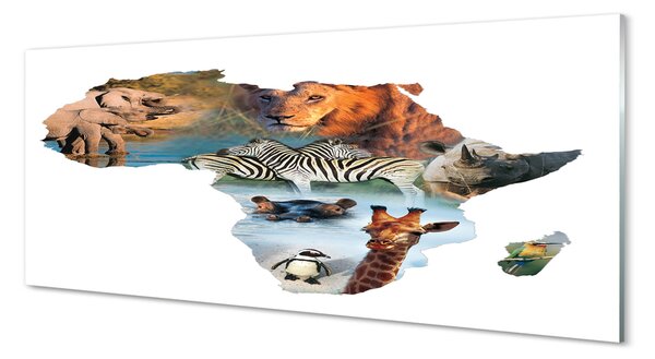 Tablouri pe sticlă Zebra girafa tigru