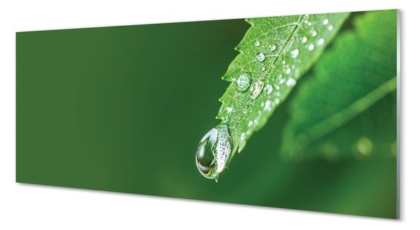 Tablouri pe sticlă leaf picătură de apă