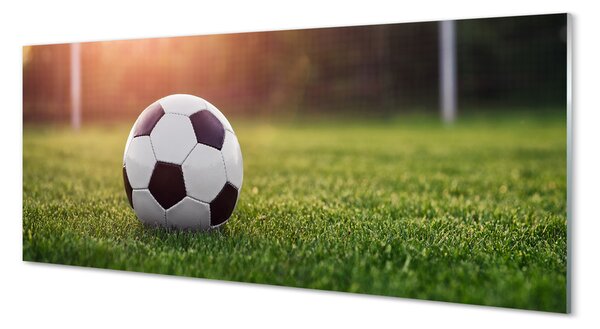 Panouri de sticlă gateway-ul de fotbal cu gazon
