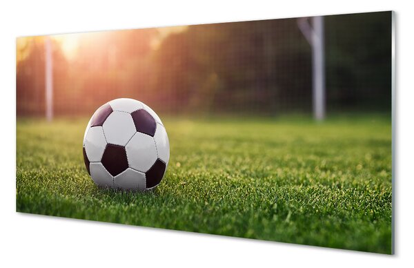 Panouri de sticlă gateway-ul de fotbal cu gazon