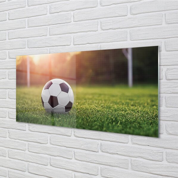Panouri de sticlă gateway-ul de fotbal cu gazon