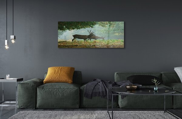 Tablouri pe sticlă pădure toamna Deer