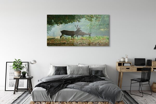 Tablouri pe sticlă pădure toamna Deer