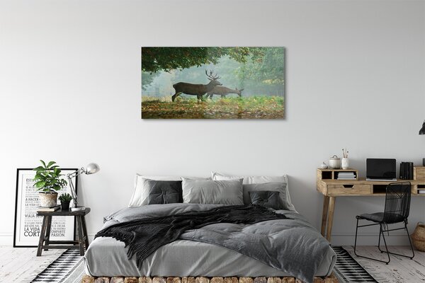 Tablouri pe sticlă pădure toamna Deer