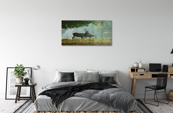 Tablouri pe sticlă pădure toamna Deer