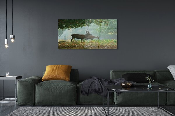 Tablouri pe sticlă pădure toamna Deer