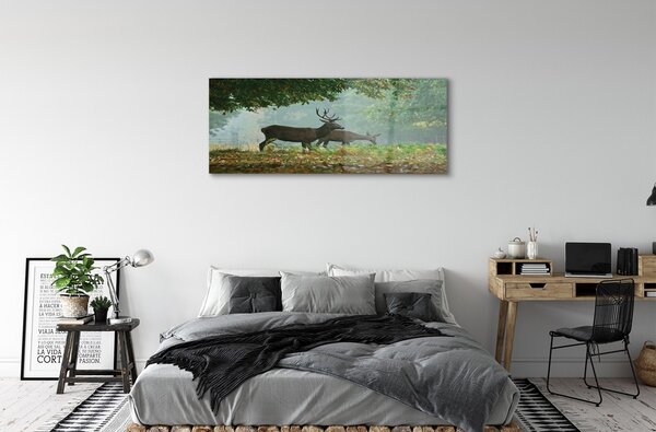 Tablouri pe sticlă pădure toamna Deer
