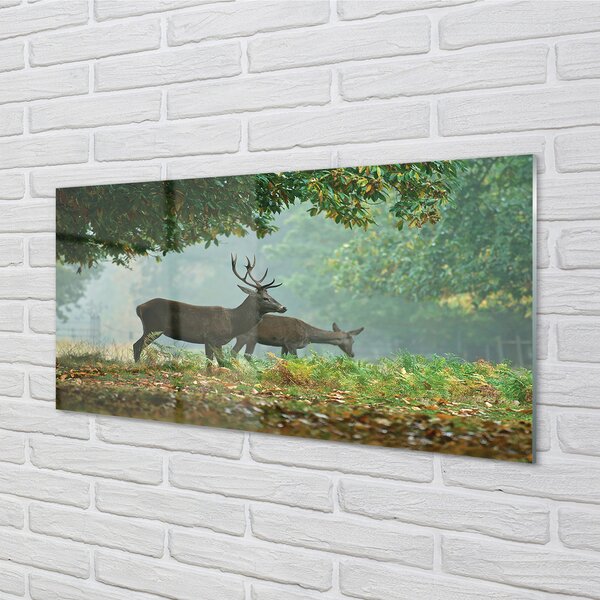 Tablouri pe sticlă pădure toamna Deer