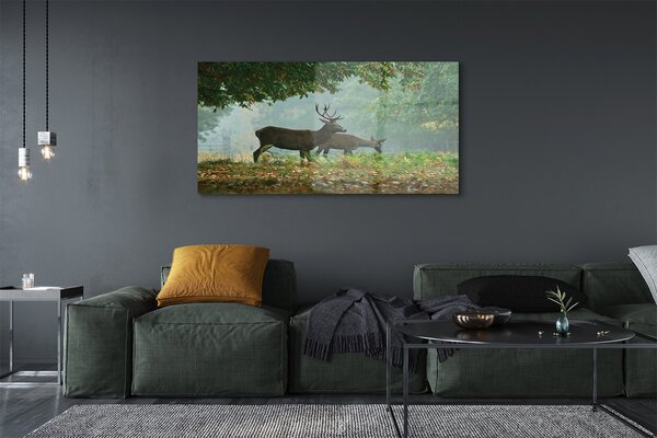 Tablouri pe sticlă pădure toamna Deer